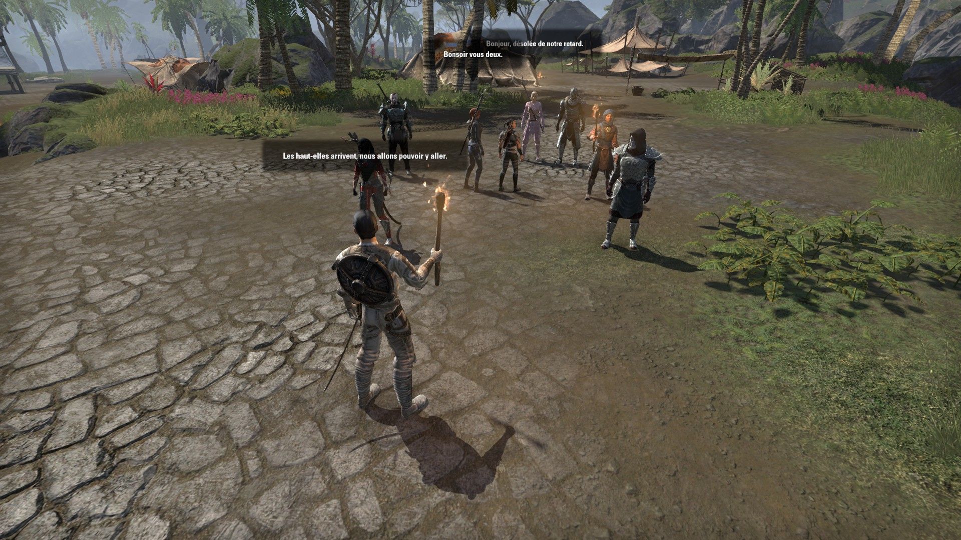 Screenshot du jeu The Elder Scrolls Online